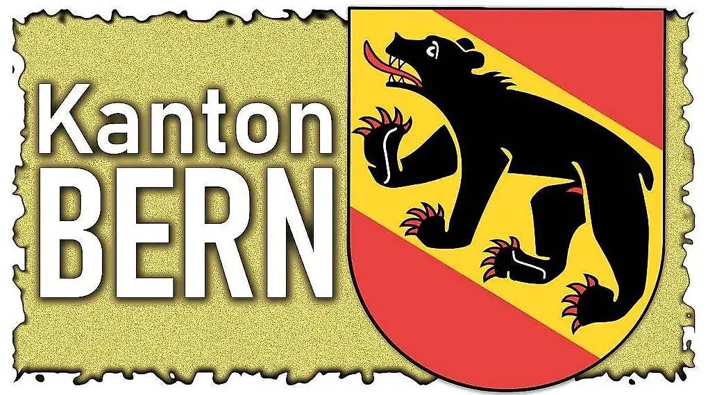 reinigung - putzen und mehr