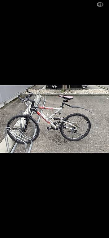 Mountainbike Herren