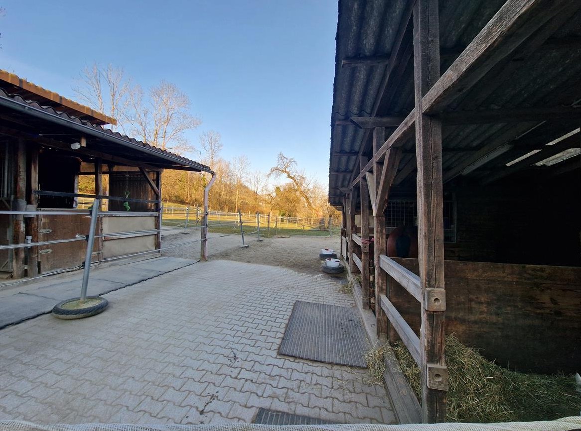 Stalltrakt für Selbstversorger in Weinfelden TG