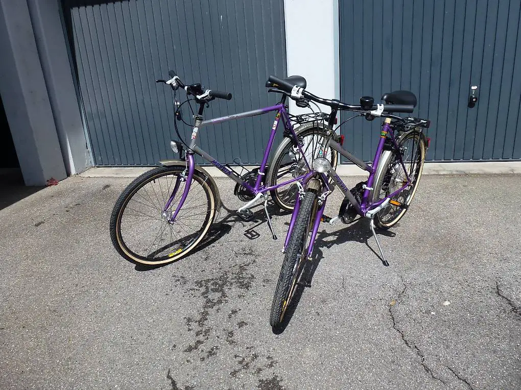 Herren- und Damenfahrrad