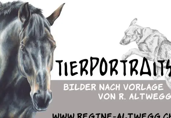 Individuelle Tierportraits
