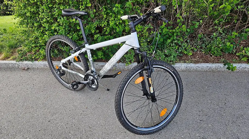 Jugendvelo Lemon Grove 26 Zoll