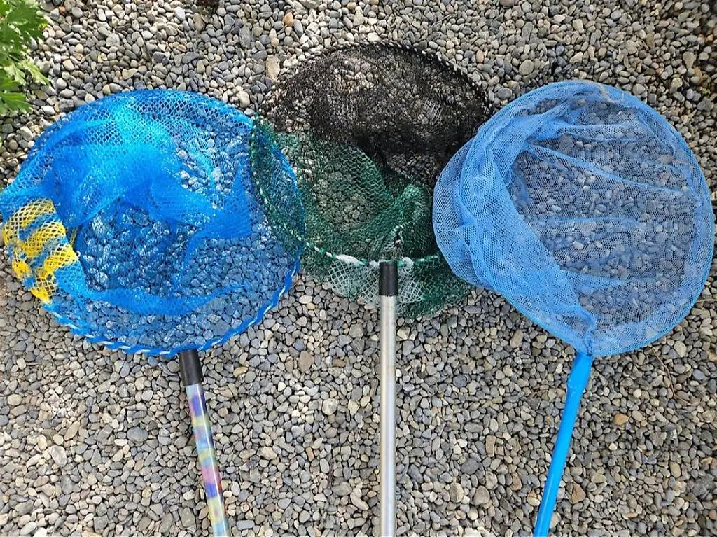 3 Kinder Feumer Kescher für den See, Meer....