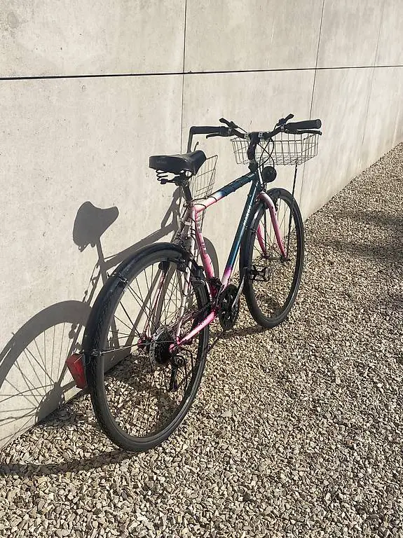 Stadtvelo mit Licht und Lenkerkorb, Grösse M