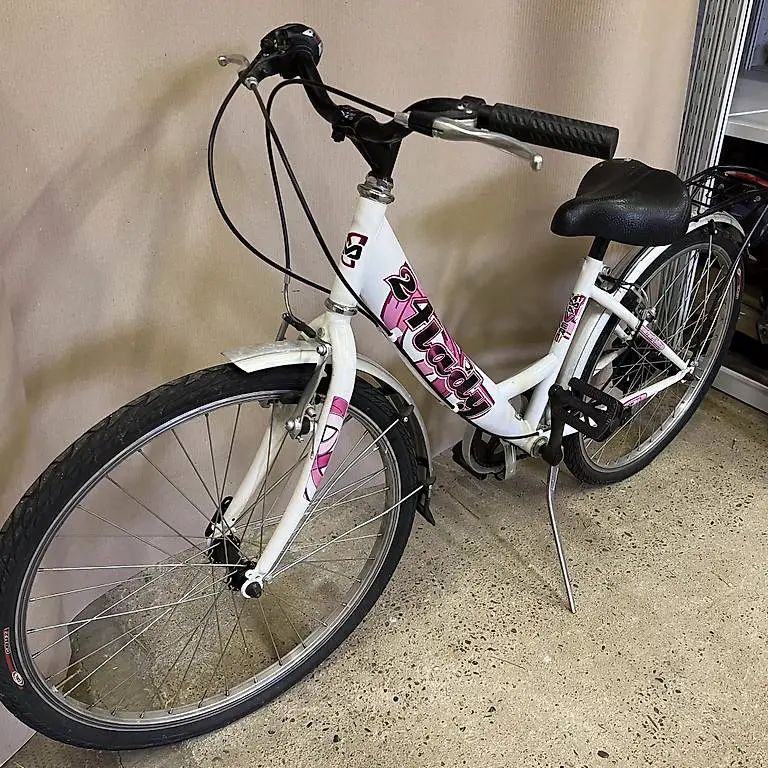 Bicicletta Lady