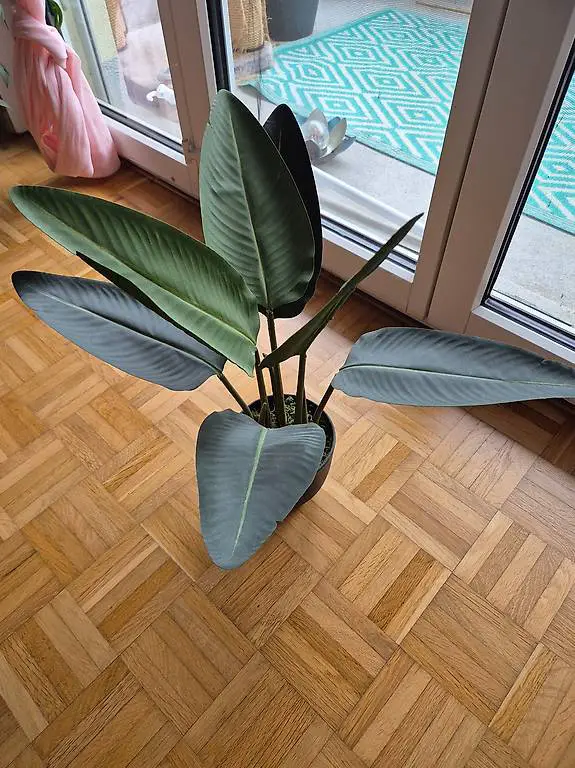 Kunstpflanze Strelitzie