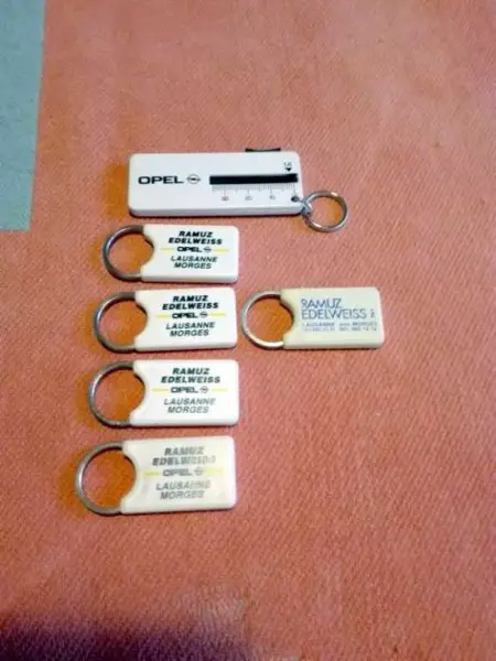  Portes-clés "Ramuz Edelweiss" Opel