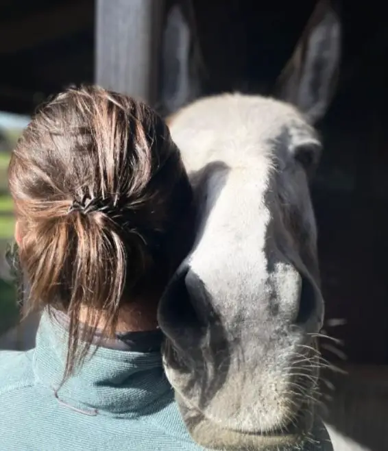 Esel Patenschaft in der Schweiz