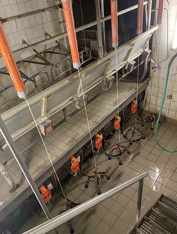 Melkmaschine zu verkaufen