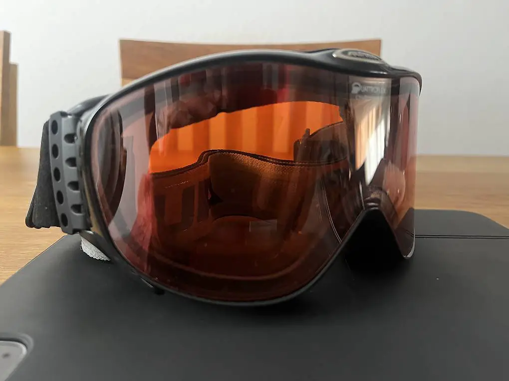Skibrille Alpina