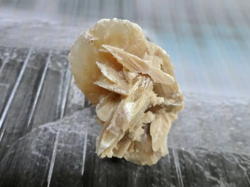 Sandrose/Wüstenrose