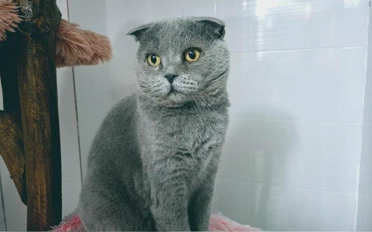 Konstantin wartet auf deine Anfrage