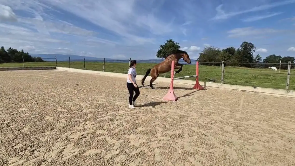 Suche einen Nebenjob in der Nähe von Geroldswil ZH