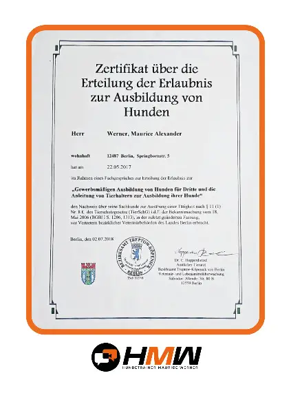 Hundetraining – Persönlich oder auch via Video