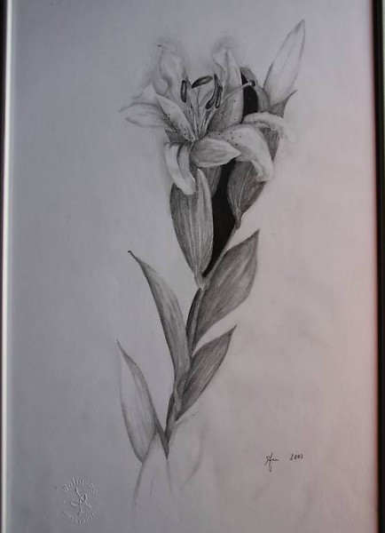 Lilien (Wolfgang Neumeister)