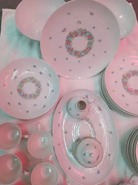 Rosenthal Geschirr Konvolut "Romance in Bunt"