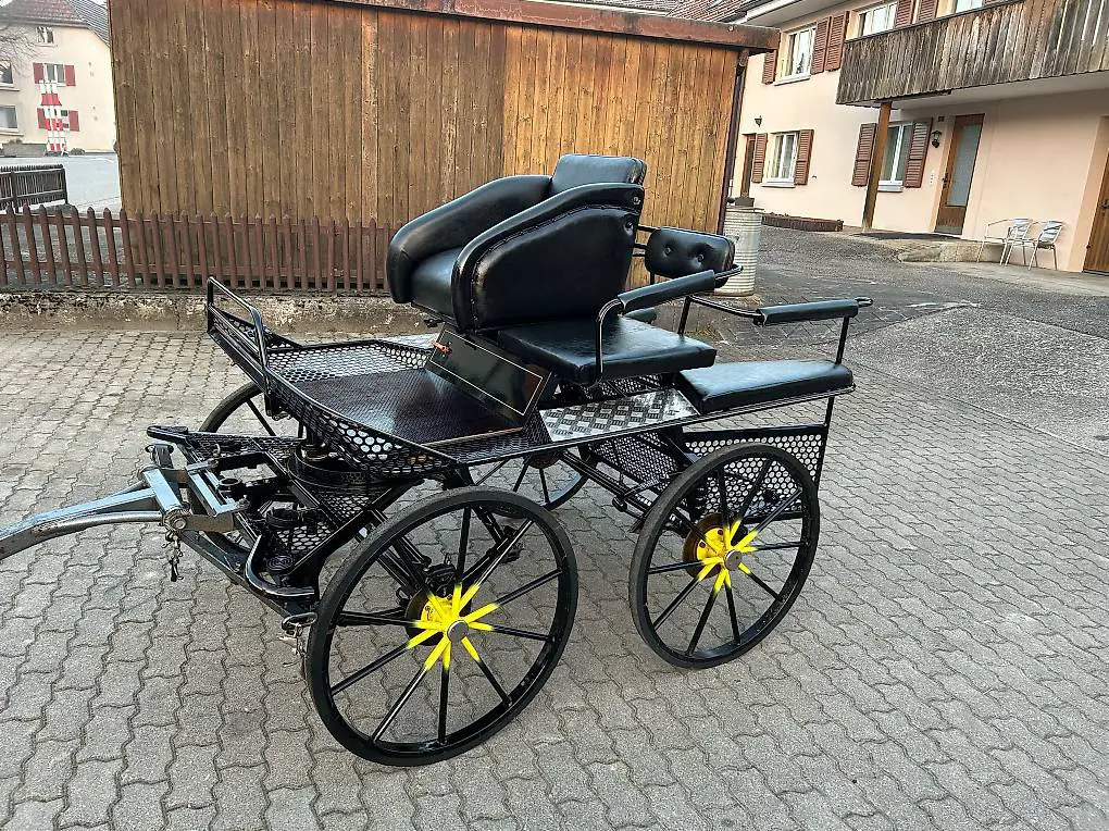 Trainings- (Pony) Kutsche 1- u 2 Spännig