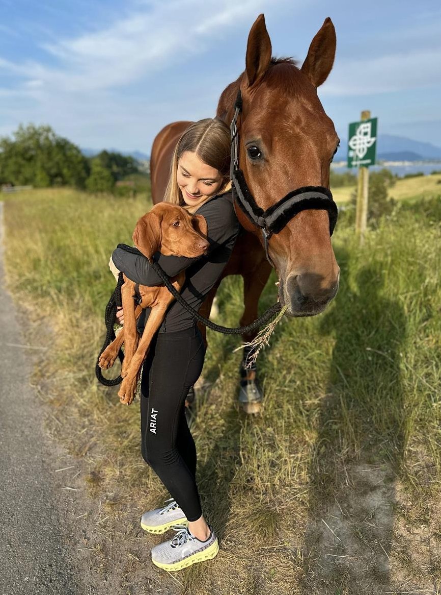 Biete Ferienbetreuung / Ferienvertretung für Dein Pferd: )