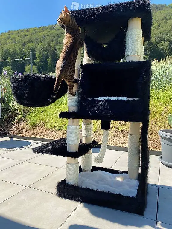  Kratzbaum aus Holz Naturholz Katzenbaum neu & modern