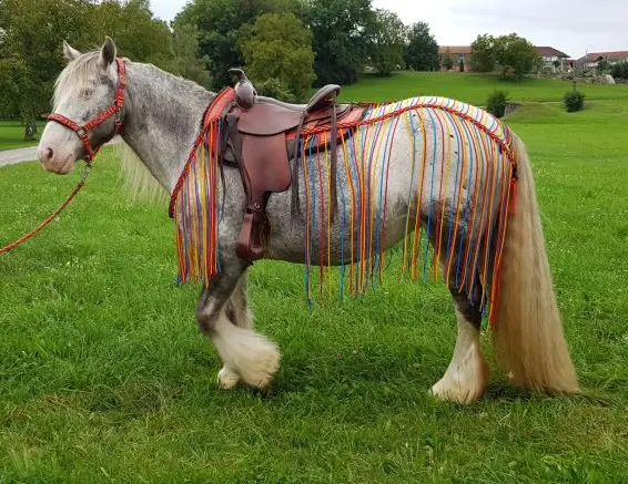 Fransen Fliegendecken nach Mass und Farbwunsch