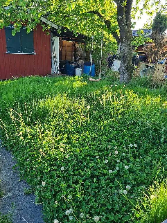 Schrebergarten abzugeben