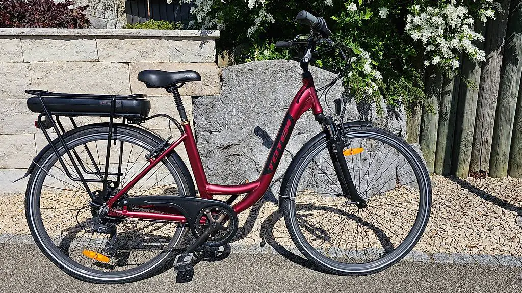 E-Bike City Bike für Damen im TOP Zustand ab Service