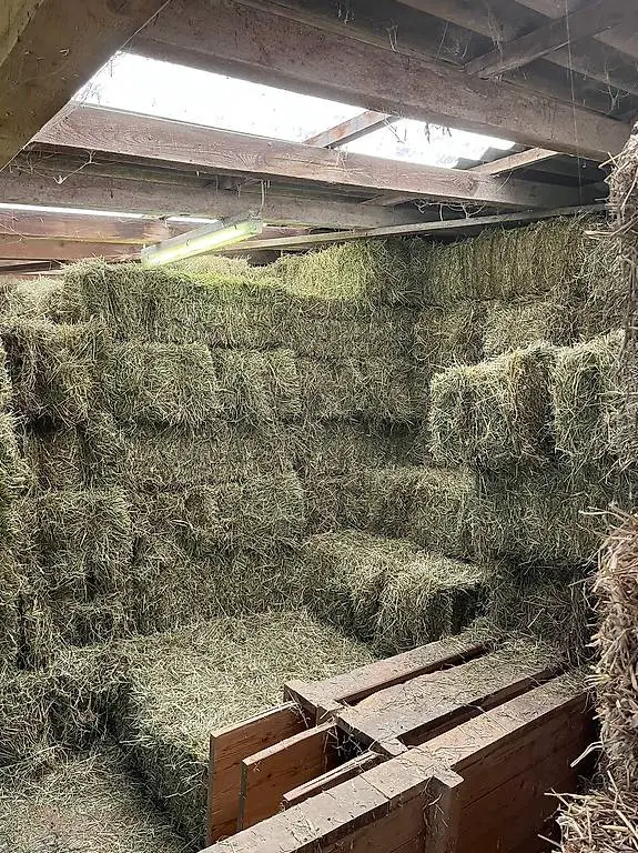 Heu Kleinballen zu verkaufen