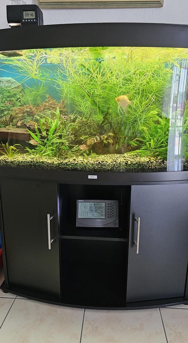 JUWEL Aquarium mit Süsswasserfische & Unterbaumöbel