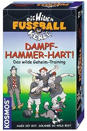 Die Wilden Fussball