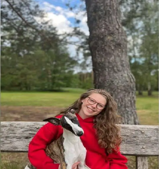 Süsser Whippet Rüde, 3 J. sucht neue kuschlige Couch