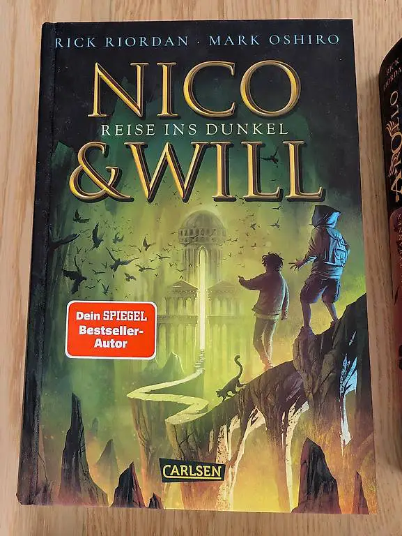 Jugendbuch - Nico &Will