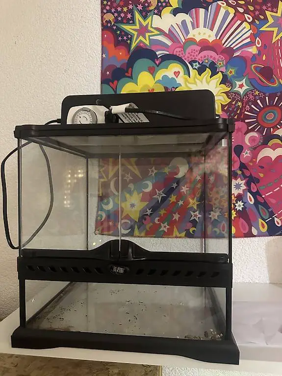 Terrarium mit Zubehör und Einrichtung