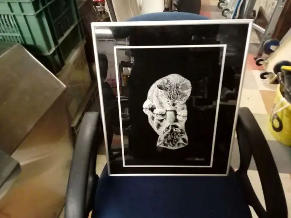 Ein älteres Bild einer kleinen Katze die spiegelt signiert