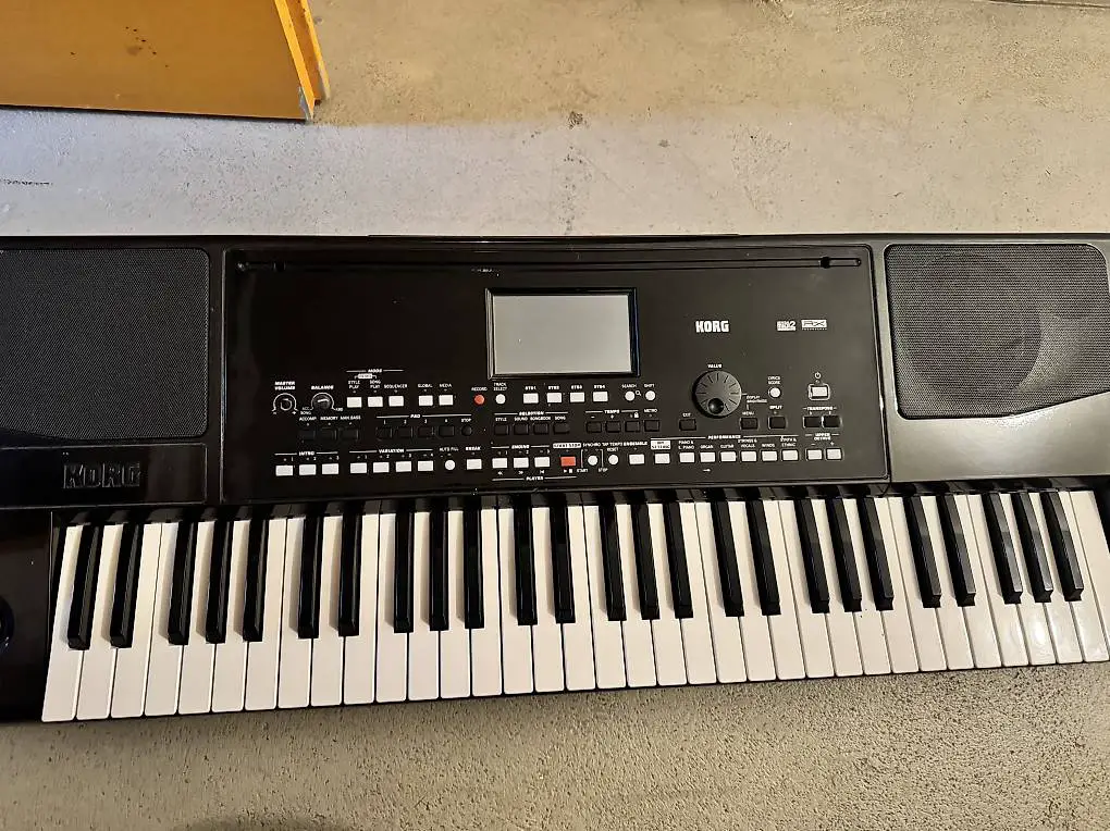 Korg Pa300