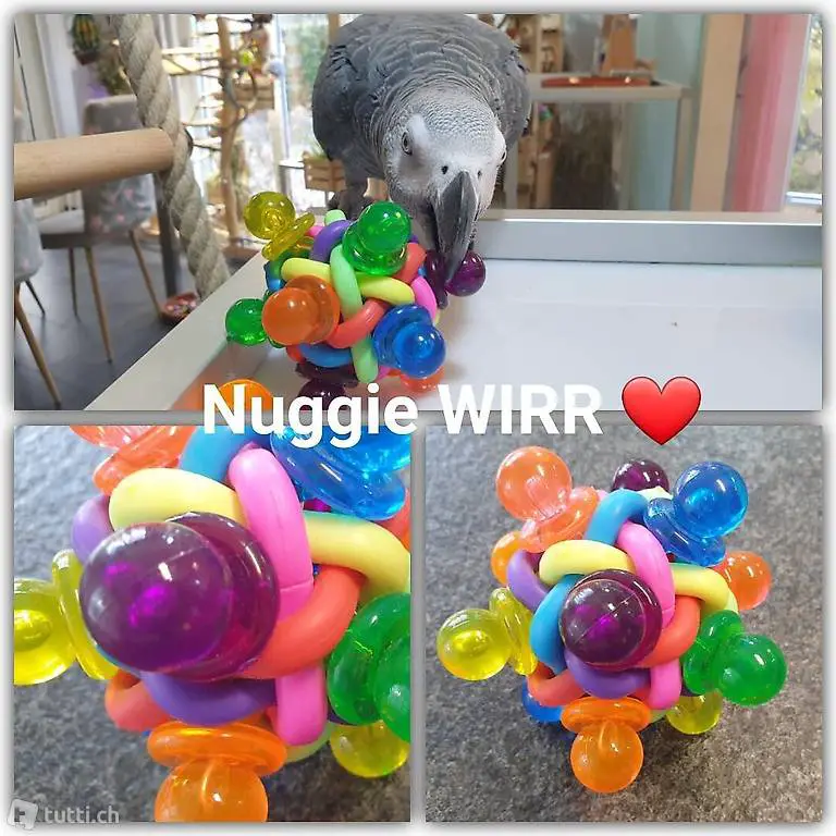  nuggie wirr
