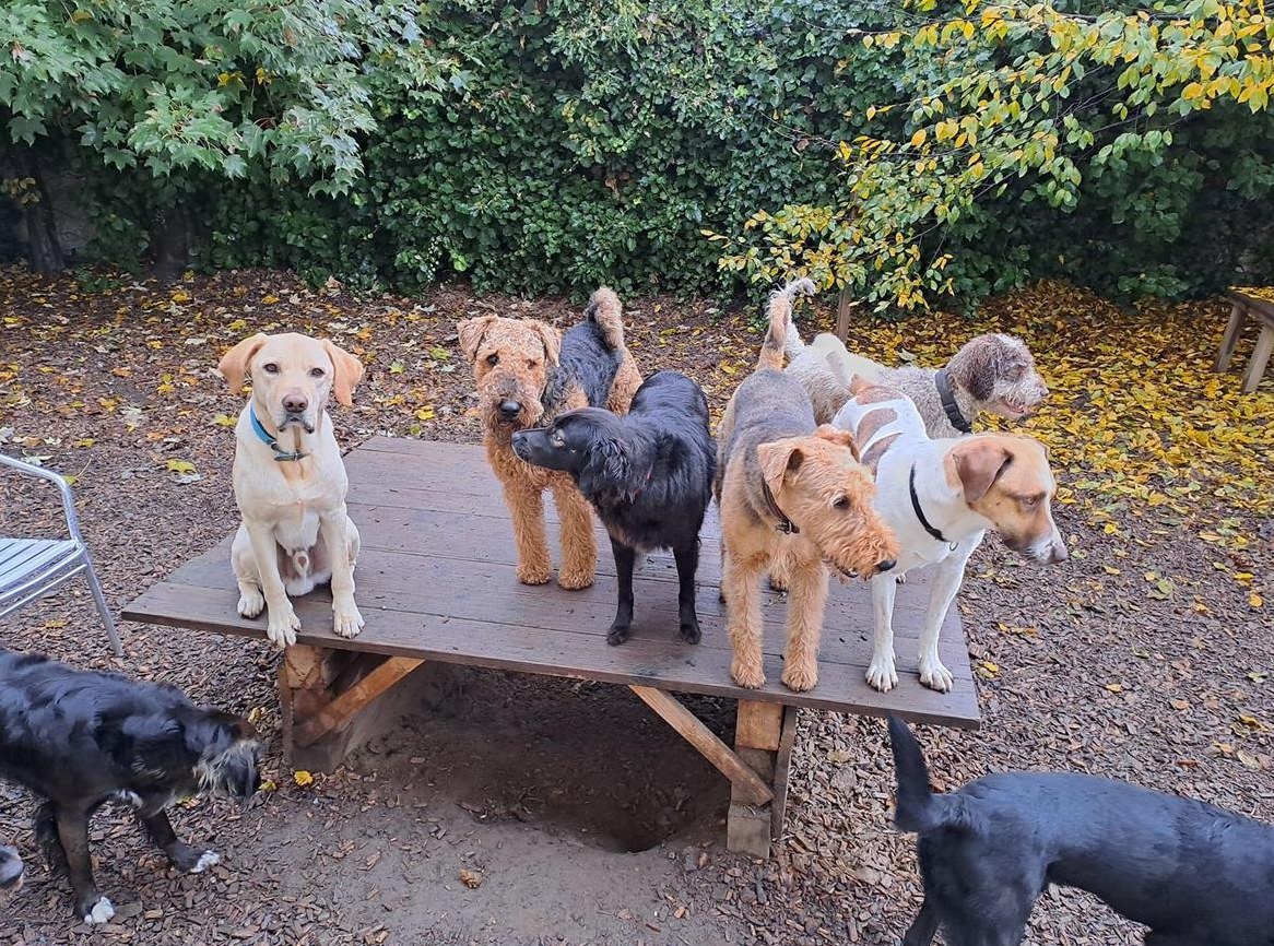 Gesucht: Tierpfleger EFZ oder FBA als Aushilfe/Vertretung ca. 20-30%