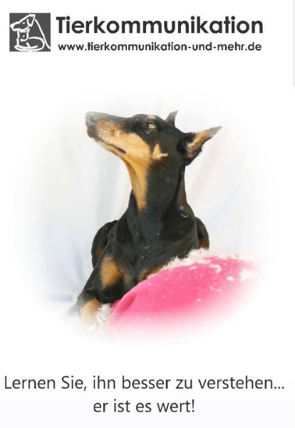 Telepathische Tierkommunikation