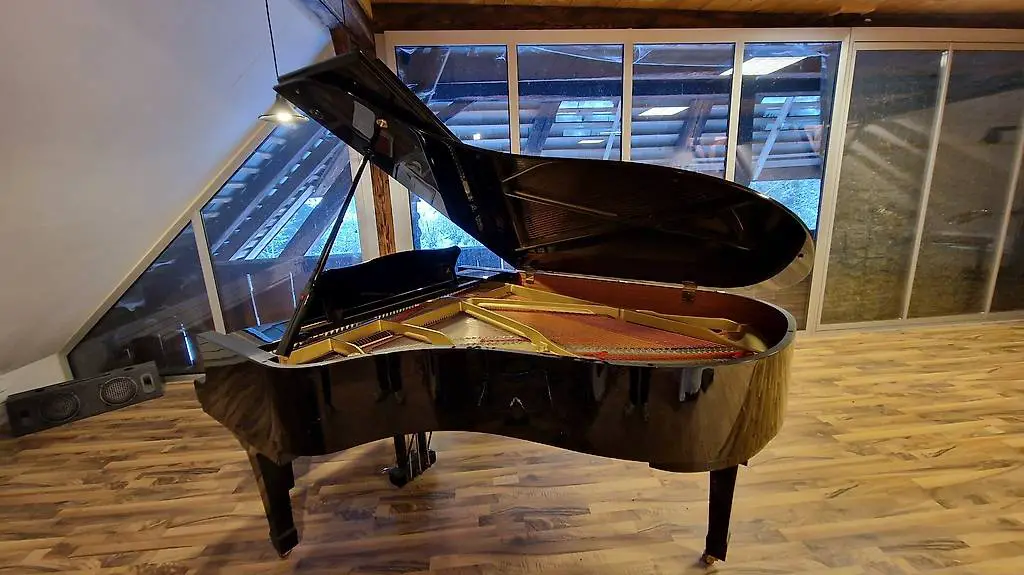 Flügel zu verkaufen