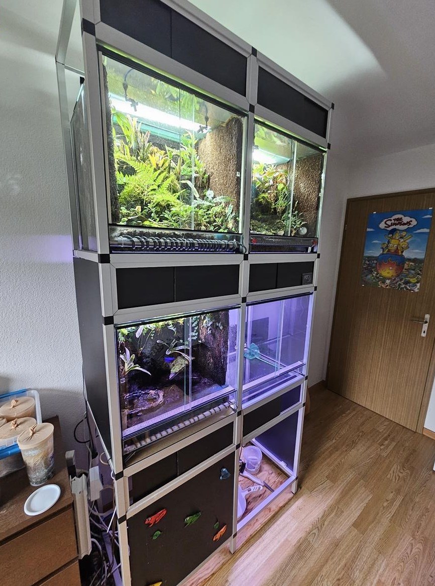 Kompletter Terrarium Turm mit Regenanlage & Beleuchtung
