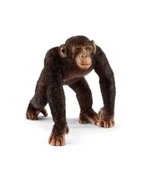 Schleich Wild Life - Schimpanse Männchen 17058