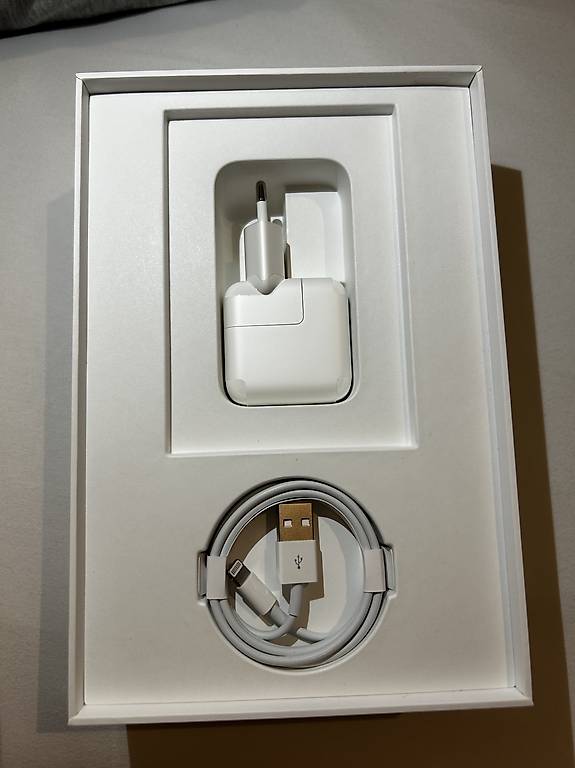 Apple iPad Mini 5 256 GB