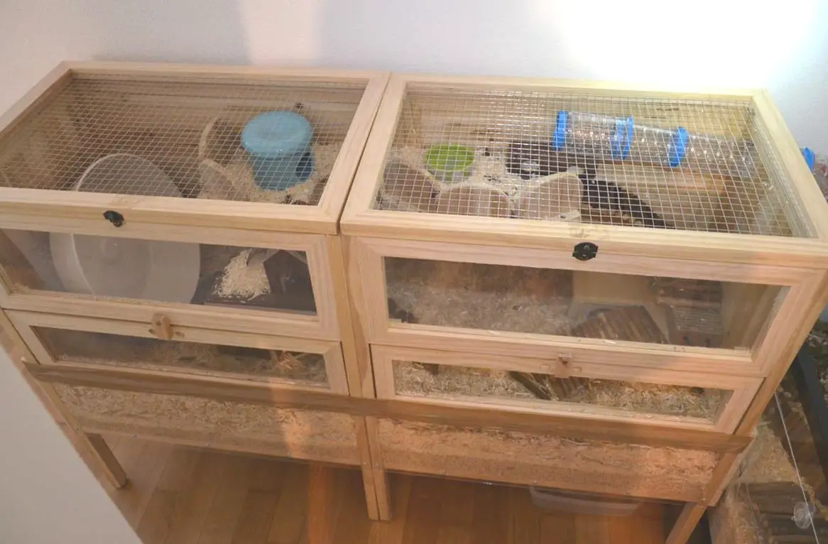 Zwerghamster + 2x Käfig + extrem viel Zubehör (Komplettpaket)