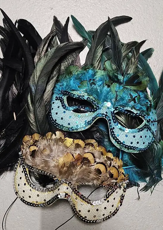 Federn Masken Fasnacht Basteln Venezianer Maskenball