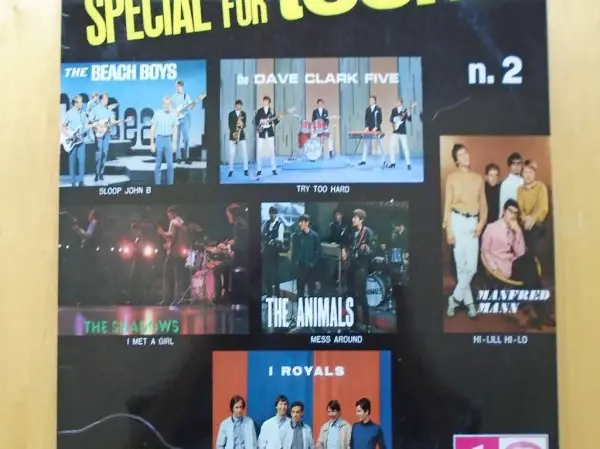 Special for Teens n.2, Vinyl