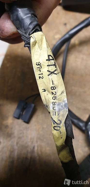 Kabelbaum zu TDM 850 4TX