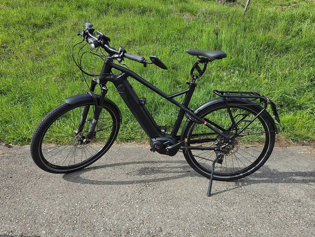 Flyer Upstreet 45km/h