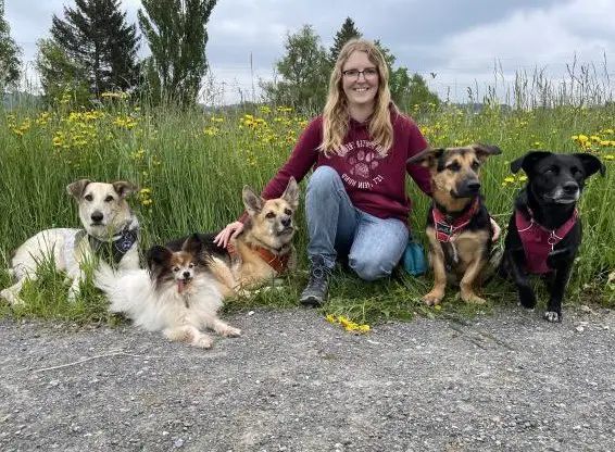 Hundetagesbetreuung, Spazierdienst & Ferienbetreuung bei Ihnen zuhause