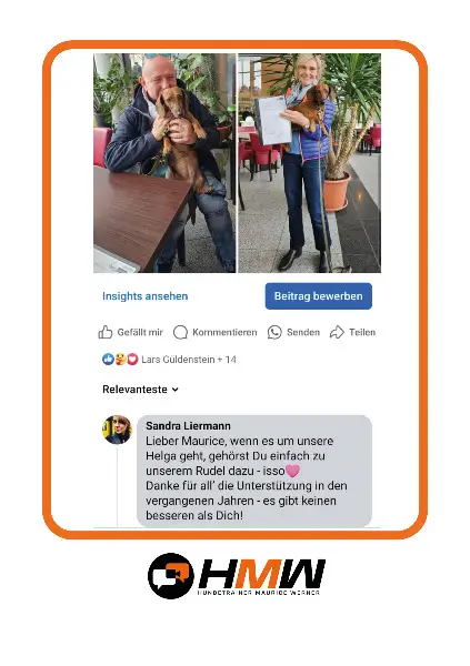 Hundetraining – Persönlich oder auch via Video