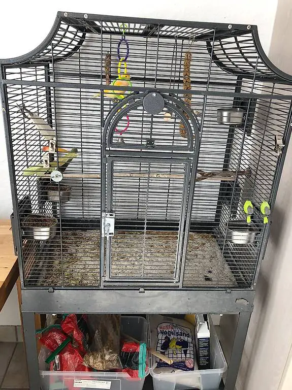 Kanarienvogel + Käfig