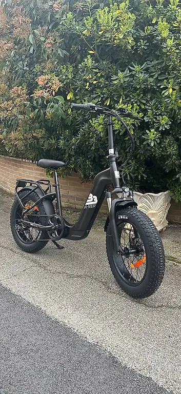 Elektrofahrrad mit Hochleistungsmotor